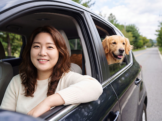 JPG 나무 동물 편집이미지 여자 행복 도로 여행 창문 가족 자동차 자연 웃음 일상 친구 반려동물 골든리트리버 외출 주행 의료성형뷰티 편집실사 식물 감정 길 육상교통 관계 교통시설 표정 사람 라이프 리트리버 CG 생태계 파일형식 교통수단 교통 생활 개 시설 포유류