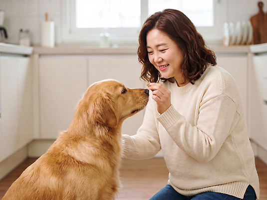 JPG 편집이미지 여자 행복 반려견 가족 사랑 미소 일상 친구 반려동물 주방 골든리트리버 소통 의료성형뷰티 편집실사 동물 감정 컨셉 관계 표정 사람 라이프 개 리트리버 CG 파일형식 포유류 생활