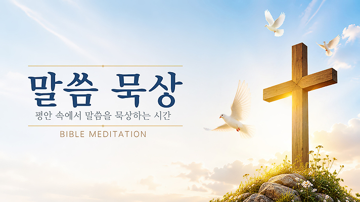 PSD 편집이미지 기독교 종교 자연 하늘 교회 평화 믿음 기도 비둘기 예배 이미지편집 감정 컨셉 조류 생태계 파일형식 동물