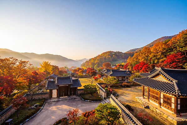 JPG 나무 편집이미지 여행 백그라운드 자연 하늘 산 한옥 풍경 마을 가을 전경 편집실사 AI포토 식물 한국전통 계절 고건축 CG 생태계 파일형식 탑뷰 AI콘텐츠 전통 건축물 한국 건축 아시아 나라