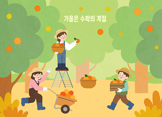 나무 식물 열매 농업 채소 과일 일러스트 사다리 사람 농작물 농장 바구니 수레 수확 가을 작업 농부 과수원 수확철 국내일러스트 AI파일 직업 계절 산업 카트 도구 파일형식 벡터