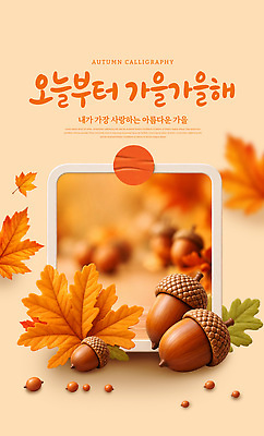 PSD 편집이미지 계절 잎 자연 풍경 장식 가을 도토리 감성 이미지편집 식물 컨셉 견과류 생태계 파일형식