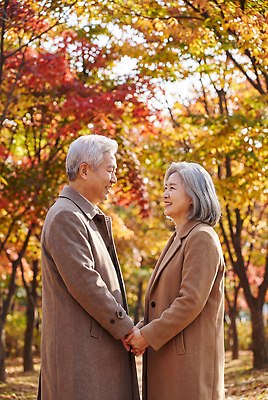 JPG 나무 편집이미지 공원 노년 행복 백그라운드 낙엽 잎 자연 나뭇잎 대화 웃음 풍경 손잡기 노부부 산책 산책로 가을 의료성형뷰티 편집실사 AI인물포토 식물 부부 계절 공공시설 감정 길 모션 휴식 표정 말하기 성인 CG 생태계 파일형식 AI포토 커플 컨셉 사람 시설 AI콘텐츠 관계
