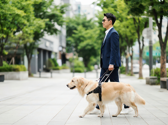 JPG 나무 편집이미지 남자 거리 사람 풍경 건물 일상 반려동물 선글라스 걷기 산책 도시 목줄 시각장애인 안내견 의료성형뷰티 편집실사 AI인물포토 식물 동물 건축물 안경 모션 휴식 라이프 개 장애인 CG 파일형식 반려용품 AI포토 잡화 건축 컨셉 포유류 생활 오브젝트 장애 AI콘텐츠
