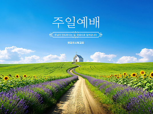PSD 편집이미지 꽃 행복 길 자연 해바라기 풍경 초원 교회 일주일 예배 라벤더 이미지편집 식물 감정 허브 생태계 파일형식