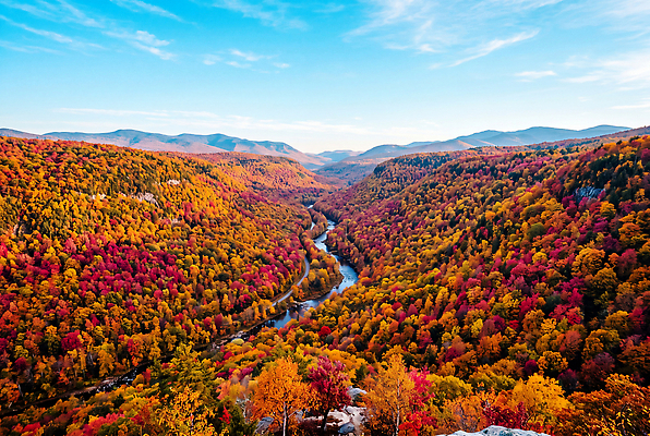 JPG 나무 편집이미지 자연 하늘 풍경 강 가을 숲 편집실사 AI포토 AI콘텐츠 식물 계절 CG 생태계 파일형식