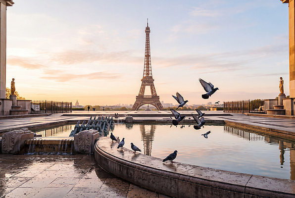 JPG 편집이미지 조류 물 조각상 반사 노을 프랑스 물가 저녁 에펠탑 비둘기 광장 파리 트로카데로광장 편집실사 AI포토 AI콘텐츠 자연요소 동물 유럽 풍경 조형물 밤 야간 CG 랜드마크 파일형식 나라 미술 문화예술
