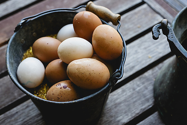 포토 JPG 해외이미지 음식 건강 사람없음 갈색 계란 신선 상품 양동이 유기농 날것 내추럴 해외202004 해외포토 웰빙 컬러 알 파일형식