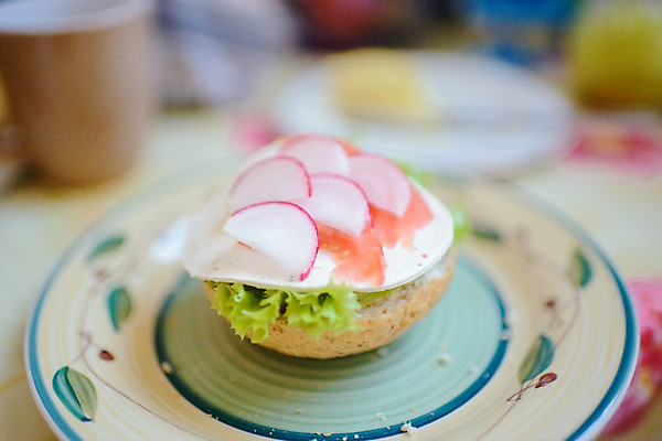포토 JPG 해외이미지 음식 빵 잎 다이어트 토마토 채소 양파 피망 치즈 샌드위치 건강 사람없음 빨간색 초록색 식사 샐러드 흰색 신선 아침식사 바게트 상추 점심식사 고립 채식주의자 총각무 해외202004 해외포토 식물 컬러 유제품 무 채식 파일형식
