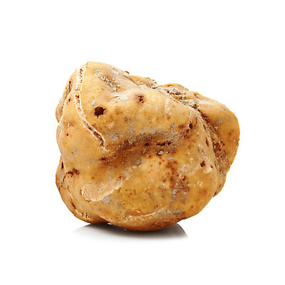 포토 JPG 해외이미지 음식 백그라운드 재료 요리 사람없음 버섯 이탈리아 가을 흰색 고급 냄새 고립 식품점 오리지널 맛있는 해외202004 해외포토 계절 유럽 컬러 컨셉 상점 파일형식