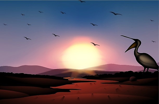 EPS 해외이미지 클립아트 동물 백그라운드 일러스트 벽지 조류 하늘 풍경 그래픽 세트 태양 갈색 일출 어둠 일몰 흙 사막 그룹 만화 땅 펠리컨 그림 장면 땅바닥 오지 많음 해외202004 해외일러스트 자연요소 컬러 컨셉 바닥 노을 파일형식 벡터