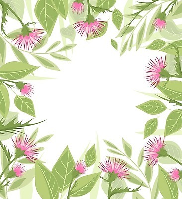 EPS 해외이미지 식물 디자인 꽃 꽃다발 결혼 백그라운드 잎 꽃무늬 일러스트 자연 벽지 프레임 초원 장식 초록색 여름 정원 화환 봄 낭만 벚꽃 나뭇가지 축하 인사 원형 생일 약초 허브 심볼 그림 복고 초대 엉겅퀴 내추럴 고립 구성 빅토리아 이국적 스코틀랜드 해외202004 해외일러스트 도형 나무 계절 기념일 컬러 컨셉 무늬 영국 이벤트 예절 풀 생태계 파일형식 벡터