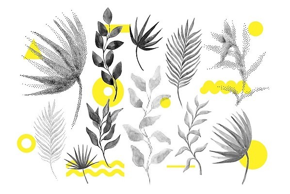 EPS 해외이미지 모양 템플릿 디자인 배너 포스터 백그라운드 잎 꽃무늬 패턴 일러스트 벽지 추상 미술 그래픽 장식 여름 세트 노란색 유행 검은색 봄 수확 가을 점 원형 신용카드 질감 초대 포인트 기하학 엘리먼트 팝 멤피스디자인 미니멀리스트 미니멀 해외202004 해외일러스트 도형 식물 계절 꽃 컬러 무늬 농업 문화예술 금융 파일형식 벡터