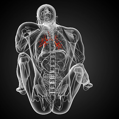 포토 JPG 해외이미지 과학 신체 해부 건강 사람 사람없음 보라색 오르간 해외202004 해외포토 컬러 의학 건반악기 파일형식