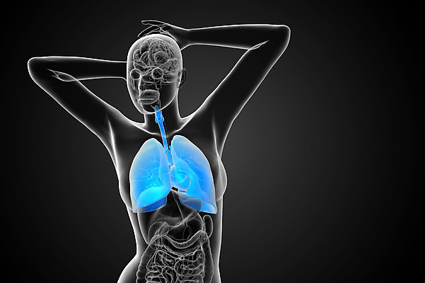 포토 JPG 해외이미지 남자 신체 오렌지 해부 건강 사람 사람없음 3D 항공 생물학 궤 염증 해외202004 해외포토 교육 과일 의학 질병 디지털합성 파일형식