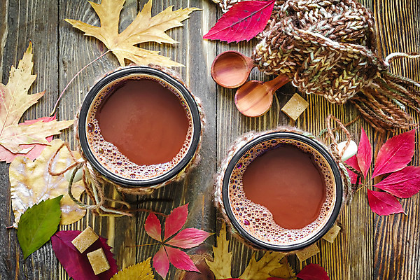 포토 JPG 해외이미지 커피 음료 음식 잎 탁자 디저트 따뜻함 사람없음 컵 갈색 초콜릿 숟가락 거품 머그컵 가을 뜨거움 액체 달콤 코코아 따뜻한음료 카카오 맛있는 해외202004 해외포토 식물 식기 계절 컬러 가구 수저 맛 파일형식