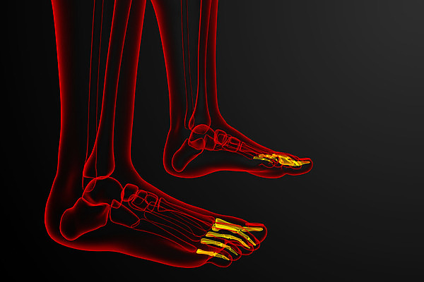 포토 JPG 해외이미지 해부 뼈 골격 건강 사람 사람없음 3D 발가락 양발 해외202004 해외포토 의학 발 디지털합성 파일형식