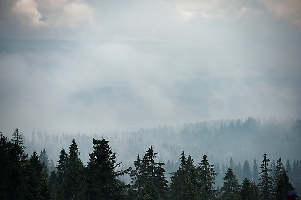포토 JPG 해외이미지 구름 백그라운드 자연 아침 날씨 산 그림자 풍경 사람없음 빛 환경 어둠 새벽 안개 소나무 숲 신비 언덕 장면 공상 상록수 내추럴 뿌연 해외202004 해외포토 주간 자연요소 나무 컨셉 생태계 파일형식