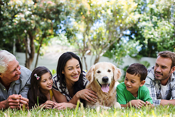 포토 JPG 해외이미지 나무 여자 할아버지 노년 남자 할머니 어린이 엎드리기 엄마 함께함 소년 잔디 여러명 상반신 성인 앞모습 소풍 화목 아빠 개 해외202004 해외포토 식물 뷰포인트 다수 컨셉 포유류 가족 모션 사람 야외활동 파일형식