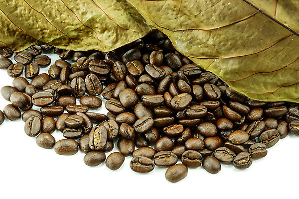 포토 JPG 해외이미지 커피 컨셉 휴식 콩 사람없음 목재 카페 원두 아침식사 굽기 에스프레소 내추럴 블랙커피 양조 옛날 카피스페이스 해외202004 해외포토 나무 음료 재료 곡류 상점 식사 공백 구이 파일형식