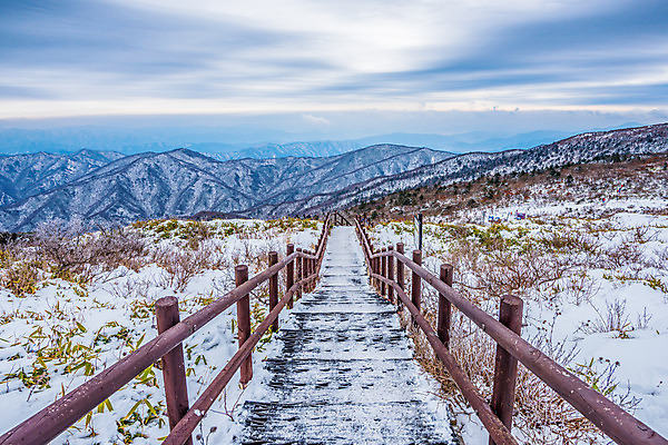 포토 JPG 해외이미지 계절 겨울 자연 스키 산 서울 한국 풍경 사람없음 추위 해외202004 해외포토 아시아 겨울스포츠 생태계 파일형식