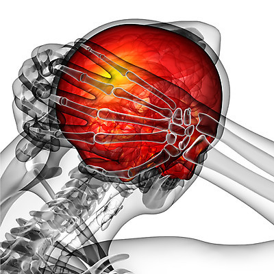 포토 JPG 해외이미지 얼굴 해부 뼈 골격 사람 사람없음 머리 어둠 죽음 턱 해골모형 해외202004 해외포토 의학 신체부위 모형 파일형식