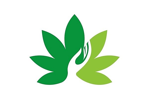 EPS 해외이미지 식물 디자인 음식 잎 농업 일러스트 자연 건강 씨앗 그래픽 치료 초록색 약 잡초 액체 삼 연기 떨어짐 약초 기름 허브 심볼 에코 유기농 내추럴 돌봄 바이오 불법 추출 대마초 마리화나 해외202004 해외일러스트 웰빙 산업 컬러 컨셉 채소 의학 모션 환경 풀 범죄 생태계 마약 파일형식 벡터