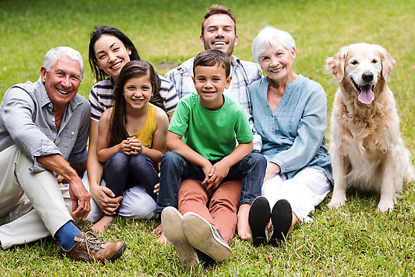 포토 JPG 해외이미지 전신 나무 여자 할아버지 노년 남자 할머니 어린이 엄마 함께함 앉기 소년 잔디 여러명 성인 앞모습 소풍 화목 아빠 개 해외202004 해외포토 식물 뷰포인트 다수 컨셉 포유류 가족 모션 사람 야외활동 파일형식
