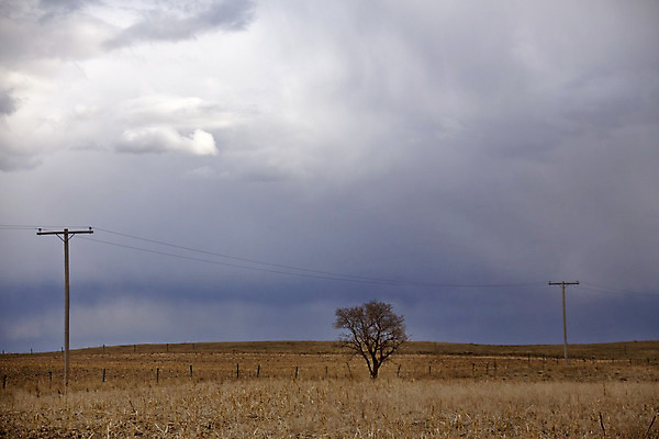 포토 JPG 해외이미지 구름 캐나다 자연 하늘 날씨 풍경 초원 사람없음 야외 여름 어둠 시골 위험 폭풍 내추럴 뇌우 폭풍우 해외202004 해외포토 자연요소 계절 컨셉 북아메리카 비_날씨 자연재해 생태계 파일형식