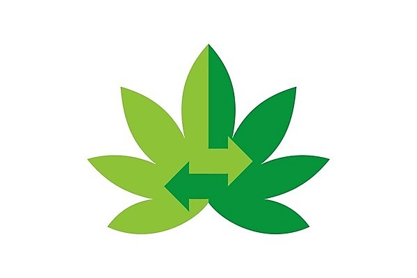 EPS 해외이미지 식물 디자인 음식 잎 농업 일러스트 자연 건강 씨앗 그래픽 치료 초록색 약 잡초 액체 삼 연기 떨어짐 약초 기름 허브 심볼 에코 유기농 내추럴 돌봄 바이오 불법 추출 대마초 마리화나 해외202004 해외일러스트 웰빙 산업 컬러 컨셉 채소 의학 모션 환경 풀_식물 범죄 생태계 마약 파일형식 벡터