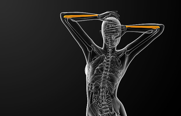 포토 JPG 해외이미지 손 과학 신체 해부 뼈 골격 건강 사람 사람없음 3D 팔 해외202004 해외포토 의학 신체부위 디지털합성 파일형식