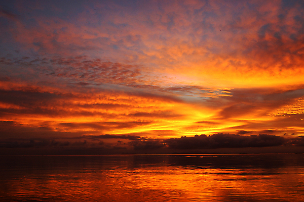포토 JPG 해외이미지 구름 계절 공원 아시아 여행 오렌지 태국 자연 하늘 아침 날씨 산 파노라마 풍경 사람없음 야외 빛 컬러풀 햇빛 태양 노란색 일출 계곡 일몰 새벽 안개 시골 저녁 땅 언덕 천국 산악지대 강렬 뿌연 절정 해외202004 해외포토 주간 자연요소 공공시설 나라 컬러 과일 촬영기법 노을 야간 생태계 파일형식