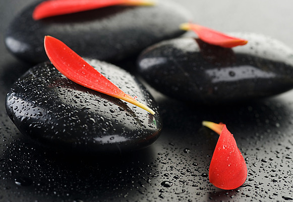 포토 JPG 해외이미지 꽃잎 꽃 백그라운드 컨셉 사람없음 빨간색 물 쌓기 검은색 스파 젖음 조약돌 물방울 마사지 매끈함 해외202004 해외포토 자연요소 식물 컬러 모션 돌_바위 감각 파일형식