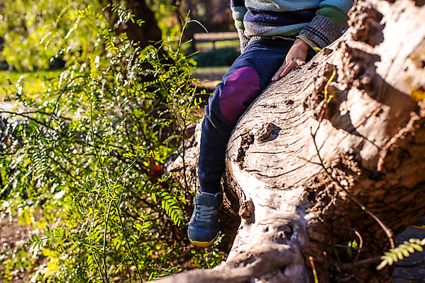 포토 JPG 해외이미지 나무 동물 백인 1 공원 여자 행복 얼굴 어린이 여행 백그라운드 장난 교통시설 자연 놀이 휴가 함께함 미소 사람 앉기 소년 사람없음 야외 초록색 여름 장난감 여행가방 기쁨 흰색 작음 수하물 해외202004 해외포토 서양인 식물 계절 공공시설 남자 감정 컬러 교통 컨셉 가방 모션 표정 신체부위 크기 시설 생태계 파일형식