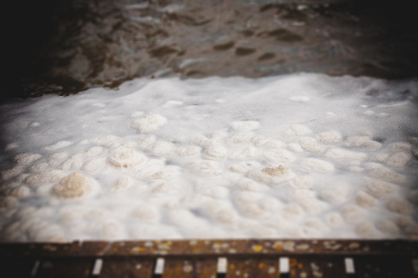 포토 JPG 해외이미지 물결 음료 파도 바다 백그라운드 이동 패턴 모션 자연 표면 날씨 추상 사람없음 야외 물 파란색 수중 힘 목욕 거품 젖음 추위 흰색 신선 거친 액체 떨어짐 빨래 매끈함 시원함 속도 질감 부드러움 비누 샴푸 내추럴 깊이 볼록 샤워실 해외202004 해외포토 자연요소 컬러 컨셉 가사 무늬 위생용품 청결 감각 생태계 샤워시설 파일형식