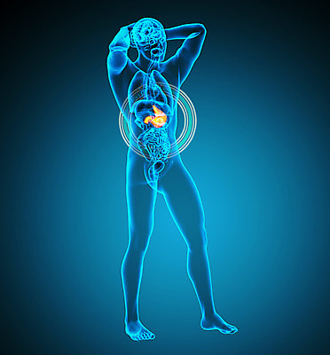 포토 JPG 해외이미지 해부 건강 사람 사람없음 3D 오르간 궤 해외202004 해외포토 의학 건반악기 디지털합성 파일형식