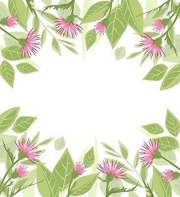 EPS 해외이미지 식물 디자인 꽃 꽃다발 결혼 백그라운드 잎 꽃무늬 일러스트 자연 벽지 프레임 초원 장식 초록색 여름 정원 화환 봄 낭만 벚꽃 나뭇가지 축하 인사 원형 생일 약초 허브 심볼 그림 복고 초대 엉겅퀴 내추럴 고립 구성 빅토리아 이국적 스코틀랜드 해외202004 해외일러스트 도형 나무 계절 기념일 컬러 컨셉 무늬 영국 이벤트 예절 풀 생태계 파일형식 벡터