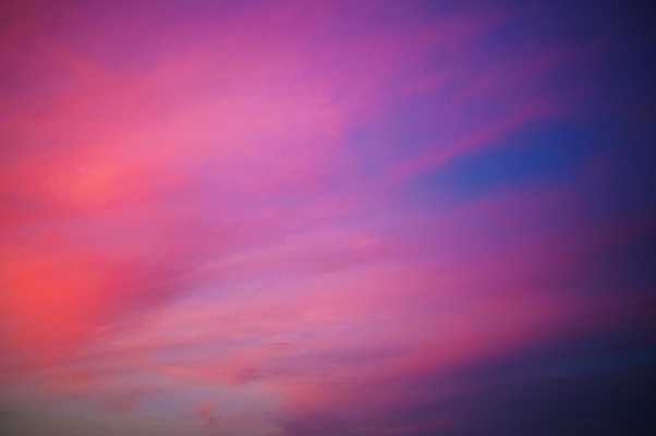포토 JPG 해외이미지 구름 분홍색 백그라운드 자연 하늘 날씨 사람없음 가로 파란색 일몰 분위기 수분 제비꽃 내추럴 해외202004 해외포토 자연요소 꽃 컬러 컨셉 노을 생태계 파일형식
