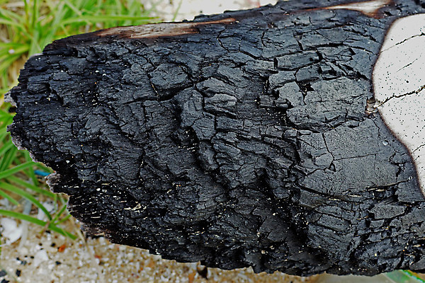 포토 JPG 해외이미지 산업 백그라운드 따뜻함 사람없음 글로벌 환경 검은색 어둠 힘 에너지 흰색 뜨거움 재산 상품 주식 바비큐 날것 화석 연료 숯 자원 연소 고립 석탄 착취 추출 탄소 해외202004 해외포토 음식 컬러 금융 파일형식