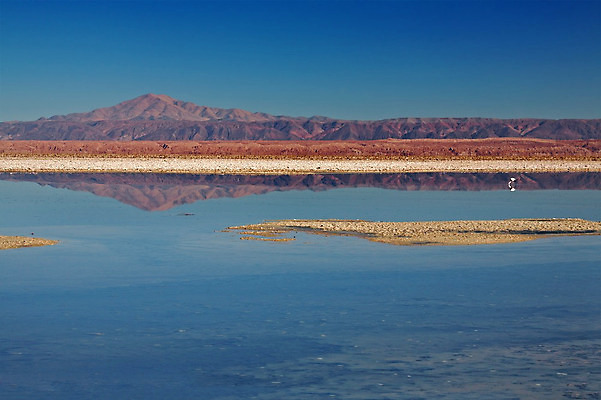 포토 JPG 해외이미지 호수 여행 자연 하늘 산 건조 풍경 사람없음 물 반사 환경 미국 사막 황무지 플랫 고독 크리스탈 플라밍고 화산 소금 지역 멀리 칠레 남쪽 석호 웅장함 해외202004 해외포토 자연요소 감정 북아메리카 조류 남아메리카 광석 방향 생태계 파일형식