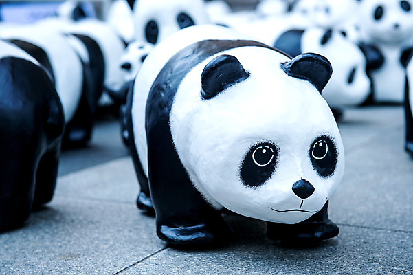 포토 JPG 해외이미지 동물 디자인 공원 아시아 야생동물 조각 과학 곰 하늘 미술 사람없음 야외 파란색 세트 컬러풀 세계 검은색 축제 중국 흰색 도시 전국 해외202004 해외포토 공공시설 나라 컬러 포유류 문화예술 파일형식