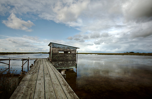 포토 JPG 해외이미지 동물 구름 호수 야생동물 캐나다 자연 조류 종류 풍경 초원 사람없음 가로 물 컬러풀 디지털 산책로 시골 행운 보호 습지 생태계 장면 서식지 철새 내추럴 동물상 보호구역 시각장애인 해외202004 해외포토 자연요소 길 컬러 컨셉 북아메리카 조형물 장애인 구역 파일형식