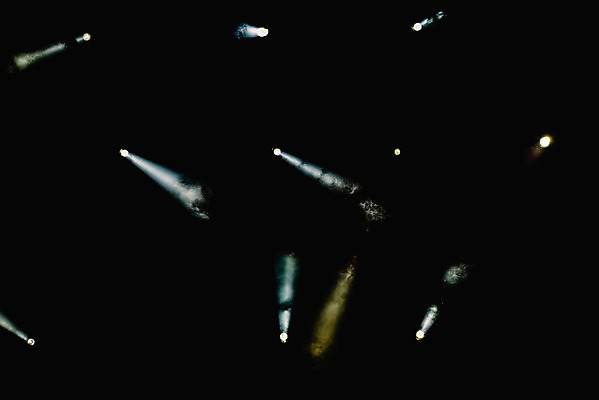 포토 JPG 해외이미지 디자인 백그라운드 패턴 전구 벽지 추상 전등 조명 사람없음 빛 반짝임 검은색 축제 어둠 무대 램프 손전등 점 원형 분위기 야간 저녁 소프트포커스 클럽 질감 장면 마법 빛망울 고립 많음 유흥 효과 해외202004 해외포토 자연요소 도형 컬러 컨셉 무늬 모션 촬영기법 파일형식