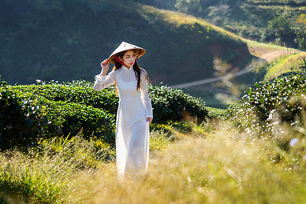 포토 JPG 해외이미지 나무 식물 전통 드레스 여자 행복 아시아 문화 얼굴 여행 밭 농업 태국 자연 딸기 아침 산 한명 미소 사람 동양인 풍경 초록색 농장 정원 안개 신선 차 베트남 해외202004 해외포토 주간 1 옷 감정 나라 산업 음료 컬러 과일 날씨 표정 인종 신체부위 동남아시아 생태계 파일형식