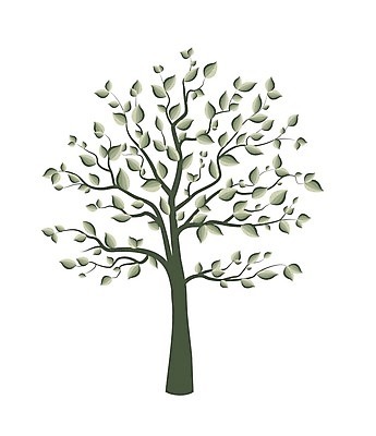 EPS 해외이미지 나무 식물 디자인 계절 실루엣 백그라운드 잎 패턴 일러스트 자연 추상 미술 풍경 장식 여름 환경 정원 검은색 봄 흰색 나뭇가지 숲 심볼 사인 싱글 그림 윤곽 뿌리 내추럴 고립 생태학 엘리먼트 옛날 해외202004 해외일러스트 교육 컬러 무늬 문화예술 촬영기법 생태계 파일형식 벡터