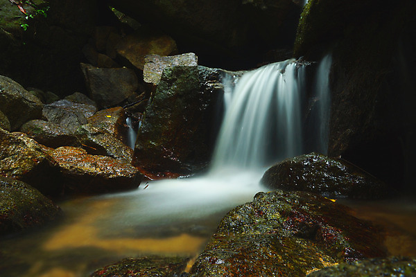 포토 JPG 해외이미지 나무 식물 계절 공원 여행 백그라운드 잎 모션 자연 이끼 풍경 사람없음 야외 목재 초록색 물 여름 빛 강 평화 환경 정원 침묵 봄 폭포 젖음 흐름 가을 바위 신선 개울 떨어짐 매끈함 숲 시원함 장면 내추럴 우크라이나 해외202004 해외포토 자연요소 공공시설 유럽 컬러 컨셉 재료 소리 돌_바위 감각 생태계 파일형식