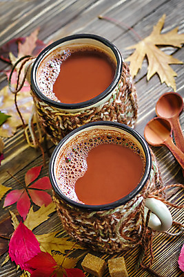 포토 JPG 해외이미지 커피 음료 음식 잎 탁자 디저트 따뜻함 사람없음 컵 갈색 초콜릿 숟가락 거품 머그컵 가을 뜨거움 액체 달콤 코코아 따뜻한음료 카카오 맛있는 해외202004 해외포토 식물 식기 계절 컬러 가구 수저 맛 파일형식