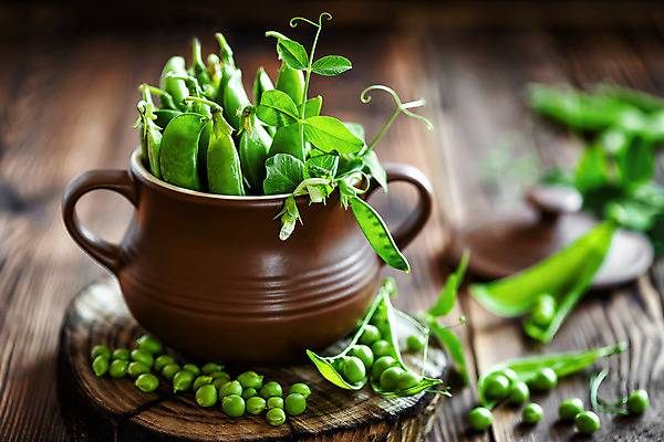 포토 JPG 해외이미지 식물 음식 잎 농업 다이어트 채소 과일 재료 공 자연 탁자 콩 건강 요리 씨앗 사람없음 목재 초록색 갈색 쌓기 주방 어둠 수확 시골 신선 오픈 그룹 우아함 먹기 오브젝트 유기농 완두콩 날것 비타민 내추럴 꼬투리 단백질 숙성 채식주의자 해외202004 깎기 해외포토 나무 웰빙 산업 컬러 가구 컨셉 모션 곡류 생태계 채식 영양소 파일형식