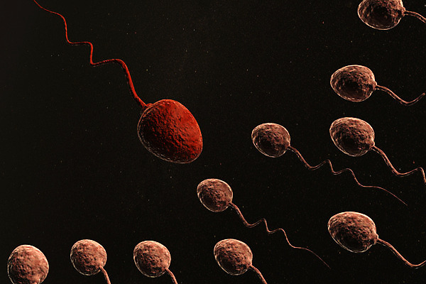 포토 JPG 해외이미지 여자 남자 과학 컨셉 일러스트 세포 건강 사랑 씨앗 사람 사람없음 약 3D 수영 경쟁 임신 아기 그룹 진화 군중 DNA 생물학 만들기 해외202004 해외포토 레이스천 식물 교육 감정 의학 모션 직물 수상스포츠 생명공학 소방 디지털합성 파일형식