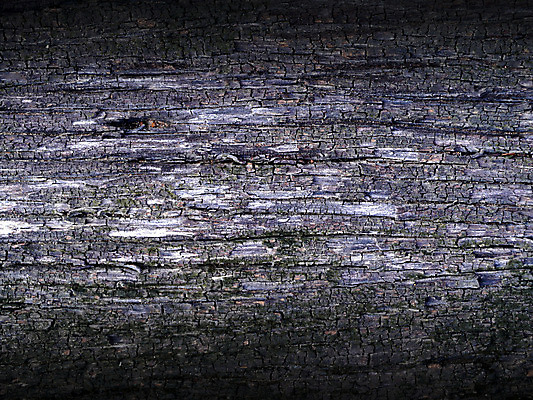 포토 JPG 해외이미지 디자인 외관 벽 백그라운드 패턴 건축양식 탁자 표면 추상 바닥 사람없음 건물 목재 장식 갈색 어둠 페인트 수확 흰색 판넬 거친 널 낟알 책상 묘사 질감 시멘트 목공예 내추럴 그런지 석고 수목 옛날 콘크리트 파케트 해외202004 해외포토 나무 건축물 건축 컬러 가구 무늬 농업 재료 공예 파일형식